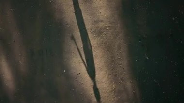 Güzel balerin açık havada dans