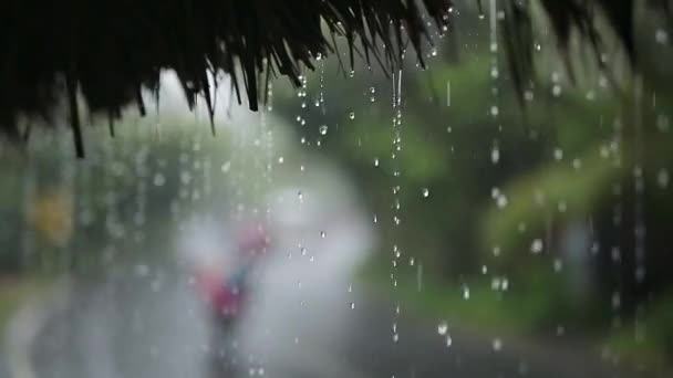 Tráfego sob chuva — Vídeo de Stock