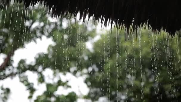 Yağmur altında saman çatı — Stok video