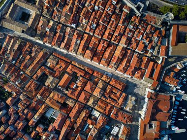 Bir denizde defne ve eski şehir Dubrovnik Hırvatistan'da göster