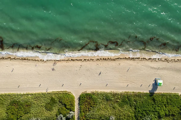 Vue de dessus sur la plage ensoleillée de Miami aux États-Unis — Photo