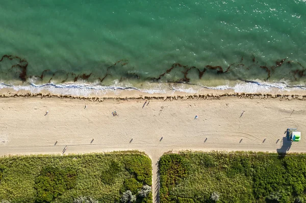 Vista superior na praia ensolarada em Miami, nos EUA — Fotografia de Stock