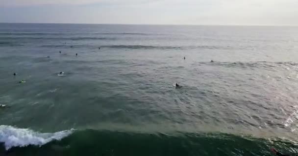 A légi felvétel a szörfdeszkák csoportja a tenger hullámai — Stock videók