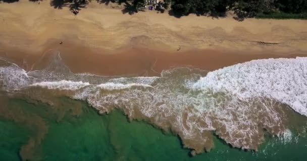 Tropiskt landskap av sand stranden och havet vågor rullar in — Stockvideo