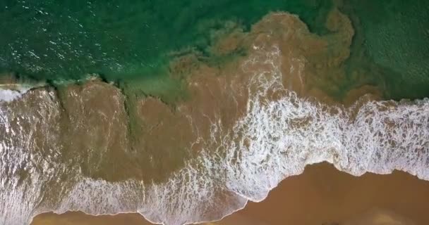 Paysage tropical de plage de sable et de vagues de mer 
