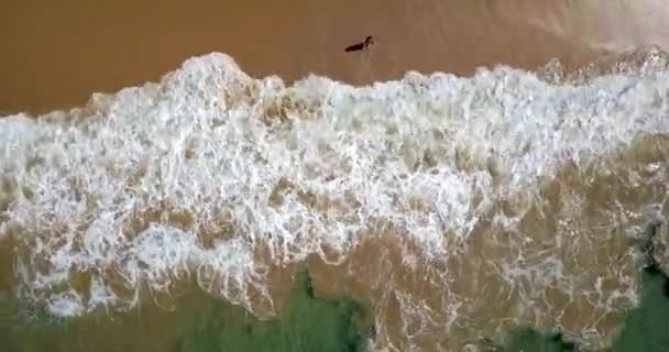 Paisagem tropical de praia de areia e ondas do mar rolando em — Vídeo de Stock