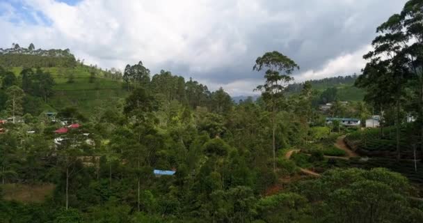 Tropical landscape of green hills with tea plantations and buildings — Stock Video