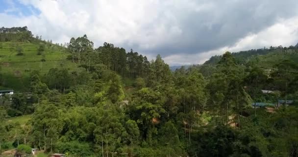 Tropical landscape of green hills with tea plantations and buildings — Stock Video