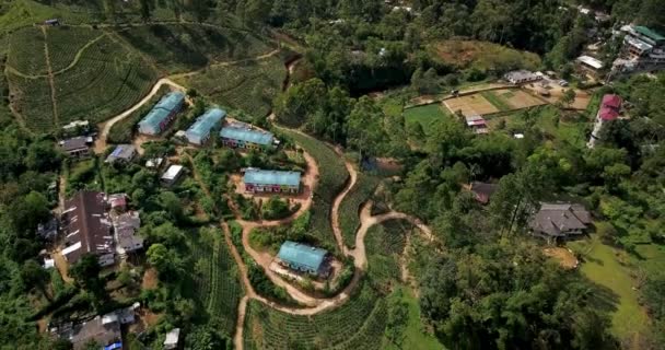 Paisagem tropical de colinas verdes com plantações de chá e edifícios — Vídeo de Stock