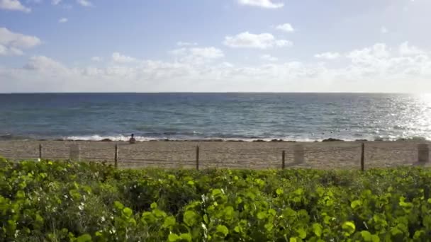 Blick auf den sonnigen Sandstrand in Miami in den USA — Stockvideo