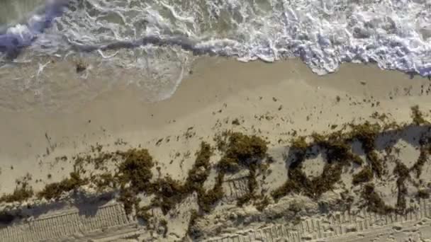 Blick auf sonnigen Sandstrand mit rollenden Wellen in Miami in den USA — Stockvideo