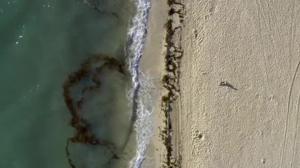 Vista en la soleada playa de arena con olas onduladas en Miami en Estados Unidos — Vídeo de stock