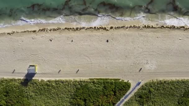 Vista desde arriba en la soleada playa de Miami en Estados Unidos — Vídeos de Stock