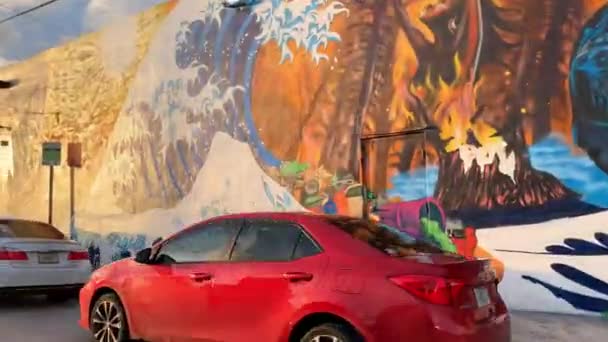 迈阿密温伍德区建筑物上五颜六色的壁画 — 图库视频影像