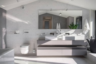 Güneşli banyo ışık duvarları ile modern tarzda