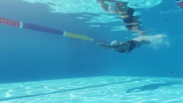 Mujer está nadando bajo el agua en la piscina durante el entrenamiento de triatlón — Vídeos de Stock