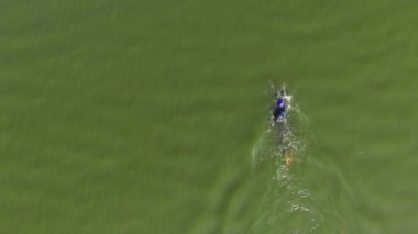 Kadın triatlon eğitim açık havada sırasında gölde yüzüyor