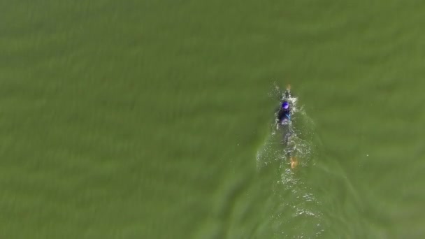 Mujer está nadando en el lago durante el entrenamiento de triatlón al aire libre — Vídeos de Stock