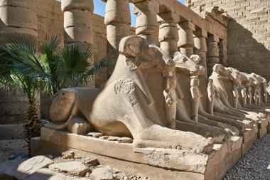 Satır bir antik Mısır ram heykel Karnak Tapınağı içinde