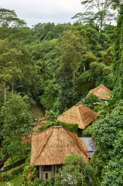 Tropikal yeşil ağaçlar arasında Nehri yakınında thatched çatı küçük evler