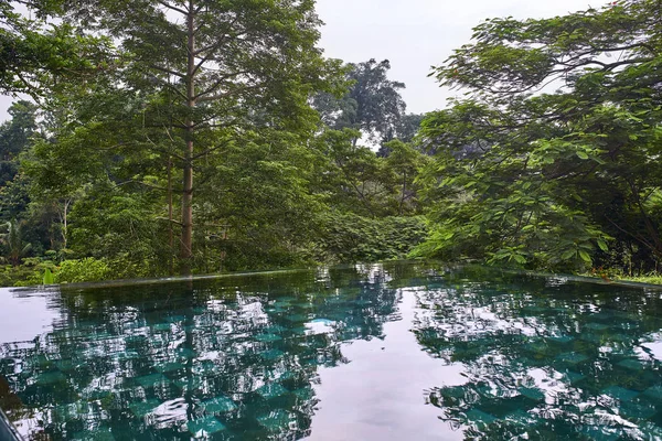 Piękny basen na tle tropikalnych drzew zielony na zewnątrz — Zdjęcie stockowe
