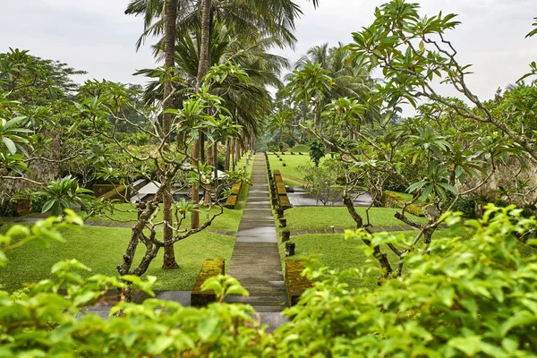 Beau jardin tropical verdoyant avec passerelles et zone détente avec piscine — Photo