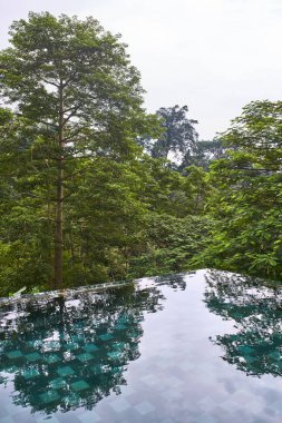 Arka plan açık havada tropik yeşil ağaçların üzerinde güzel yüzme havuzu