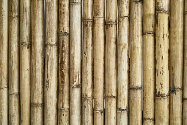 Parede de bambu tradicional asiática feita de troncos verticais — Fotografia de Stock