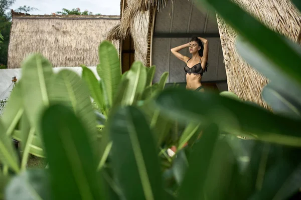 Mujer morena en lencería oscura sexy posando en bungalow en un resort tropical —  Fotos de Stock