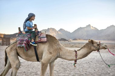 Küçük çocuk kareli keffiyeh Arap deve açık havada sürme
