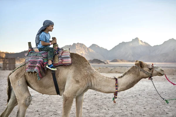 Liten pojke i rutig huvudbonaden ridning arabiska camel utomhus — Stockfoto