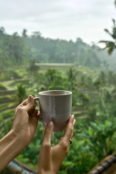 Chica sosteniendo la taza en los campos de arroz en terrazas fondo en Bali —  Fotos de Stock