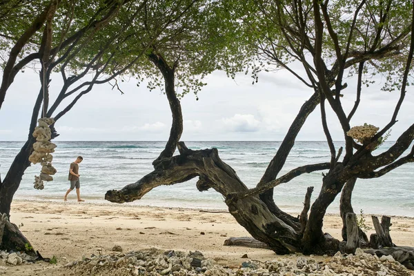 Tropikal kum plajı üzerinde dolaşan yakışıklı adam — Stok fotoğraf