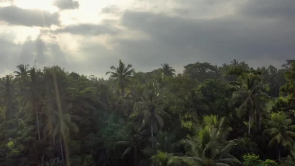 Increíble paisaje verde de árboles tropicales y pocos edificios entre ellos — Vídeo de stock