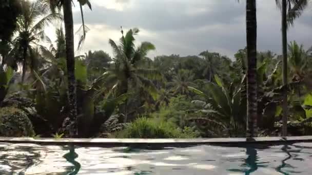 屋外で太陽の光を壊すと緑のジャングルと曇り空の背景にスイミングプール — ストック動画