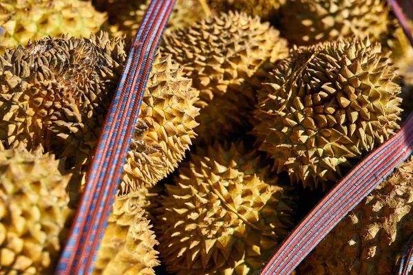 Foto close-up de durians espinhosos coloridos no mercado ao ar livre — Fotografia de Stock