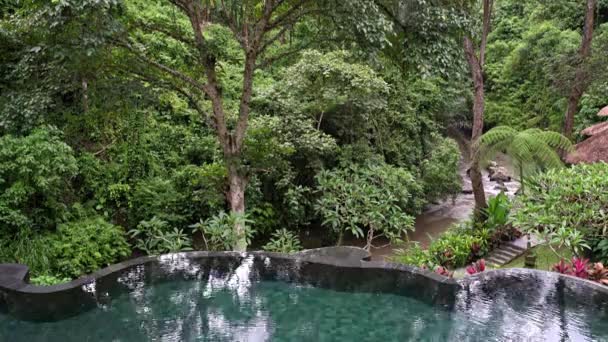 Mooi zwembad op achtergrond van tropische groene bomen buiten — Stockvideo