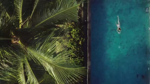 Brunette girl jest pływanie w odkrytym basenie w pobliżu tropikalnych roślin i drzew — Wideo stockowe