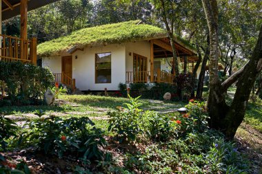 Işık eko ile Vietnam tropikal tatil evleri