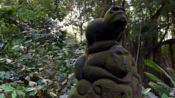 Antica statua in pietra nella foresta delle scimmie a Bali — Video Stock