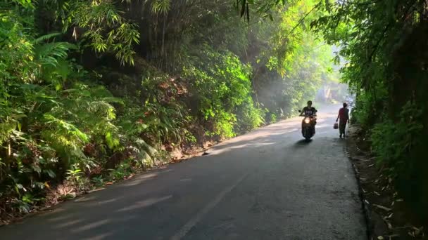 Rörliga motorcyklister på soliga gröna gatan i Hanoi — Stockvideo