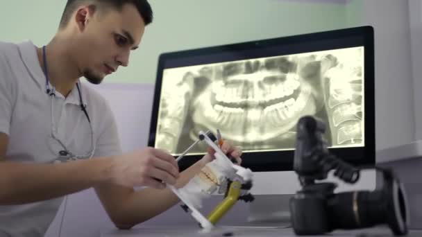 Dentista está examinando modelo de dientes gitanos en su gabinete — Vídeos de Stock