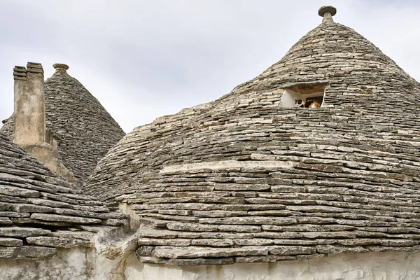 Vieilles maisons trulli dans la ville d'Alberobello en Italie — Photo