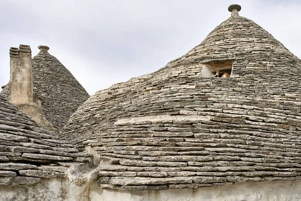 Alte trulli häuser in alberobello stadt in italien — Stockfoto