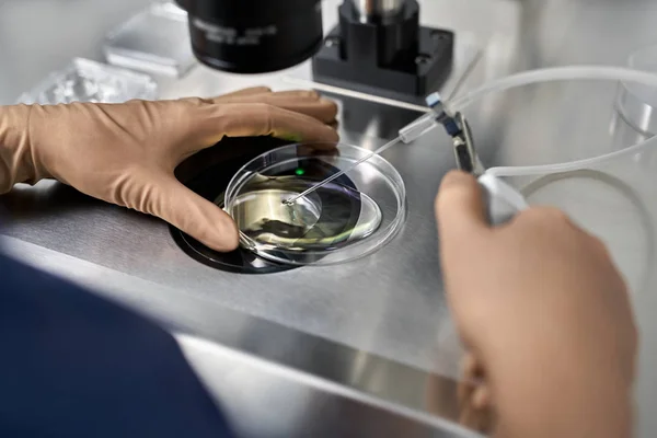Процесс экстракорпорального оплодотворения в лаборатории — стоковое фото