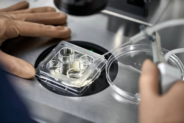 Processo di fecondazione in vitro in laboratorio — Foto Stock