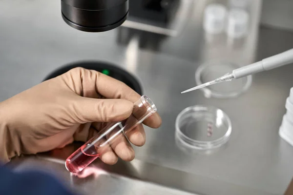 Processo de fertilização in vitro em laboratório — Fotografia de Stock