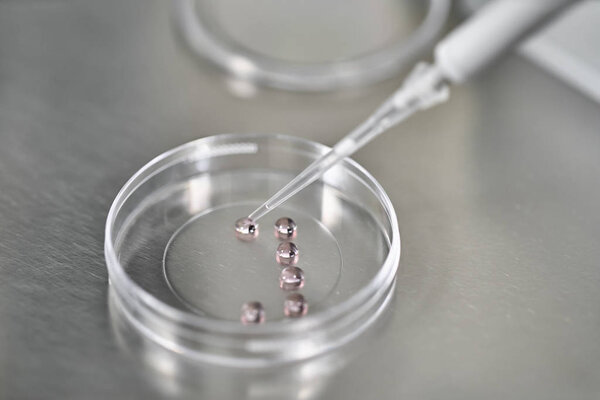 Process of in vitro fertilization in laboratory