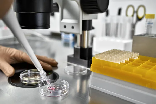 Процес запліднення in vitro в лабораторії — стокове фото
