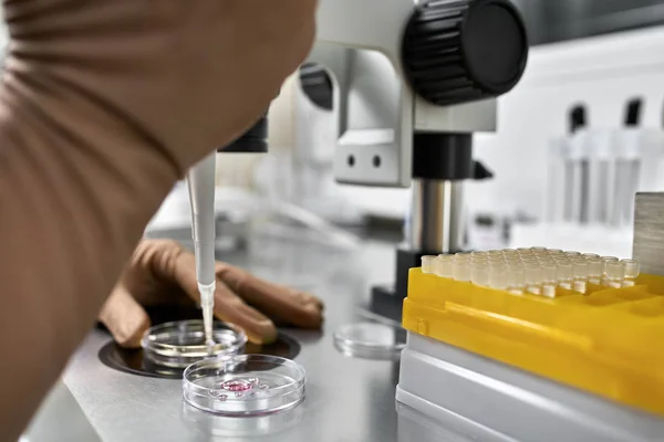 Processo de fertilização in vitro em laboratório — Fotografia de Stock